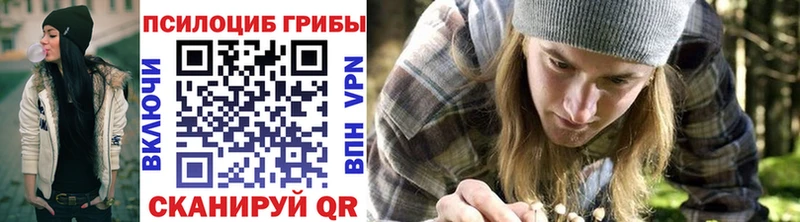 MEGA ссылка  цена наркотик  Набережные Челны  Галлюциногенные грибы Psilocybine cubensis 